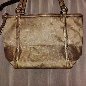 Sparkly Coach Bag